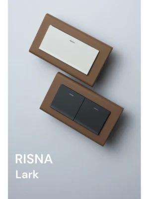switchpapa雲雀 適用RISNA (16)